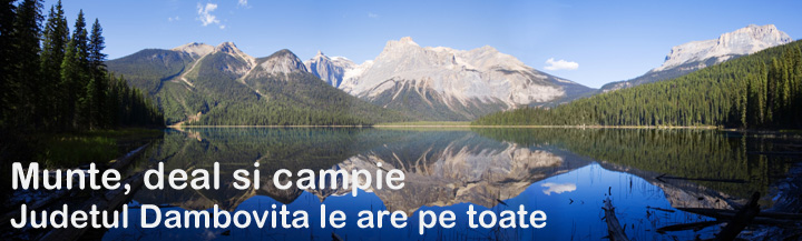Judetul Dambovita
