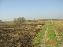 Dsc03558