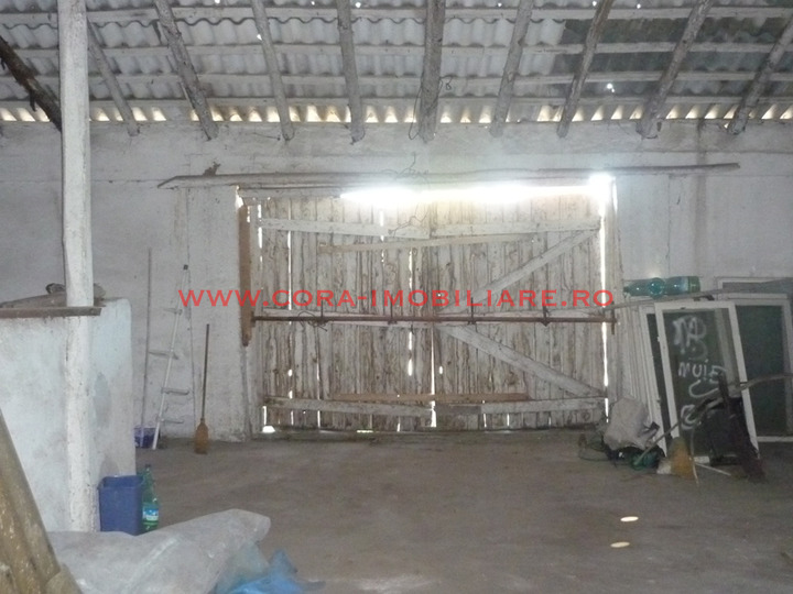 Picture-027