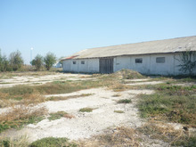 Picture-003