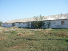 Picture-001