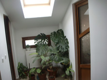 Dsc08600
