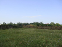 Dsc05312