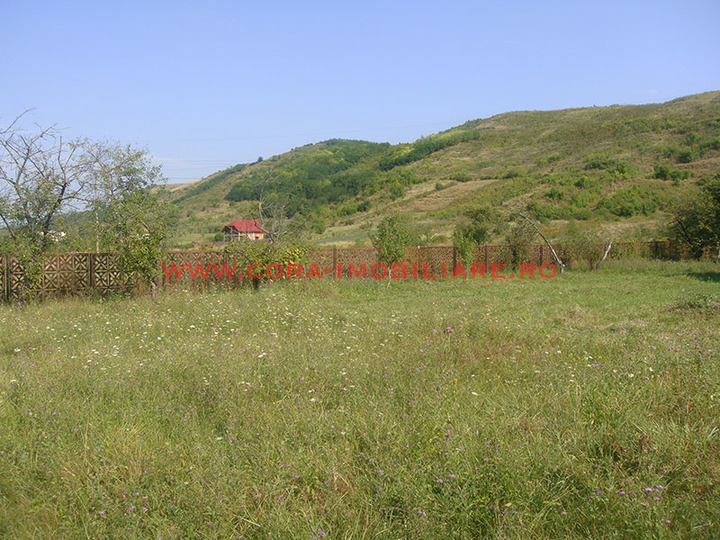 Dsc05311