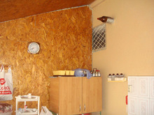 Dsc09982