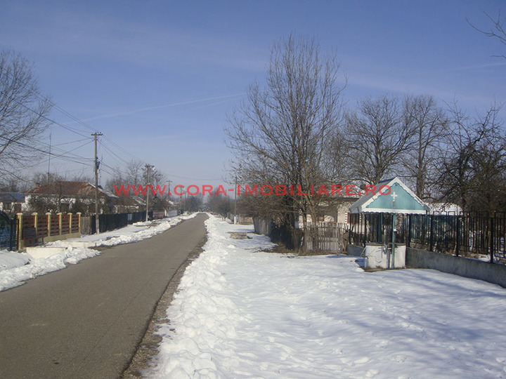 Dsc00487