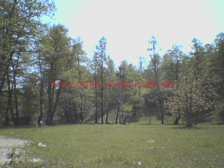 Vezi toate fotografiile acestui imobil