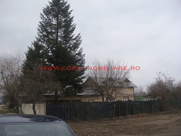 Dsc00615