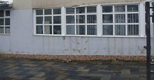 Dsc00989