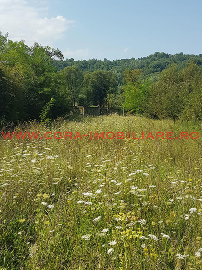 Vezi toate fotografiile acestui imobil