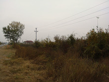 Dsc03020