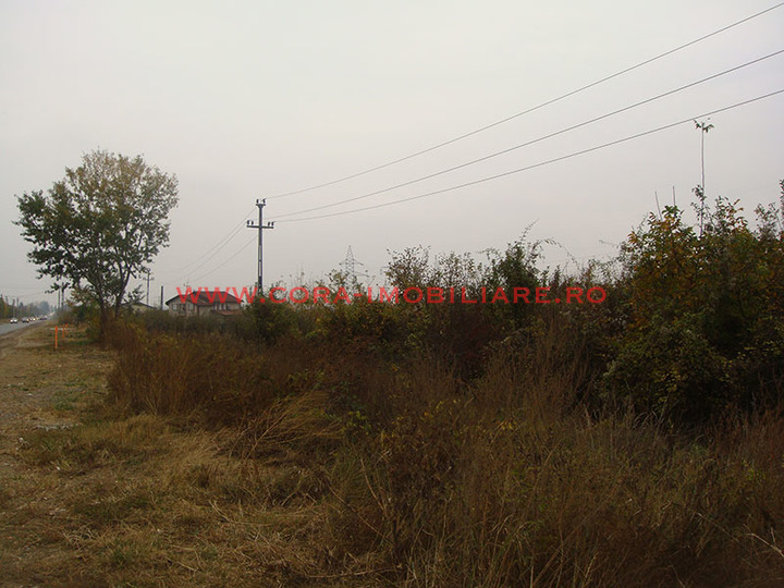 Dsc03020