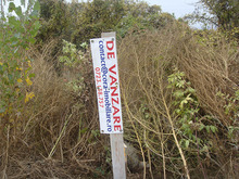 Dsc03019