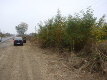 Dsc03018