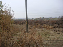 Dsc03017