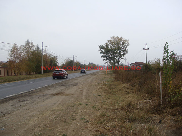Dsc03012