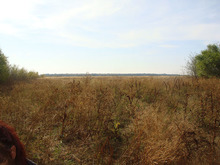 Dsc05268