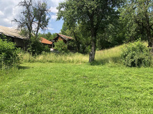 Img_5301