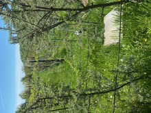Image3