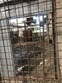 28c23006-c0ae-4653-901d-72936cb7d3f0
