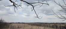 Img-20220404-wa0009