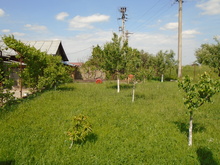 Dsc00307