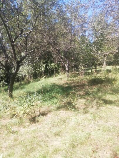 Vezi toate fotografiile acestui imobil