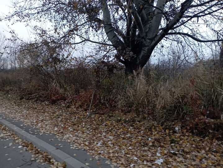 Vezi toate fotografiile acestui imobil