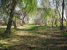 Img_20240330_114816