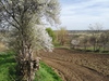 Img_20240330_114446
