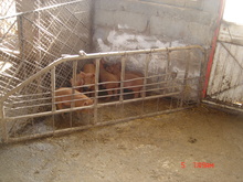 Dsc03204