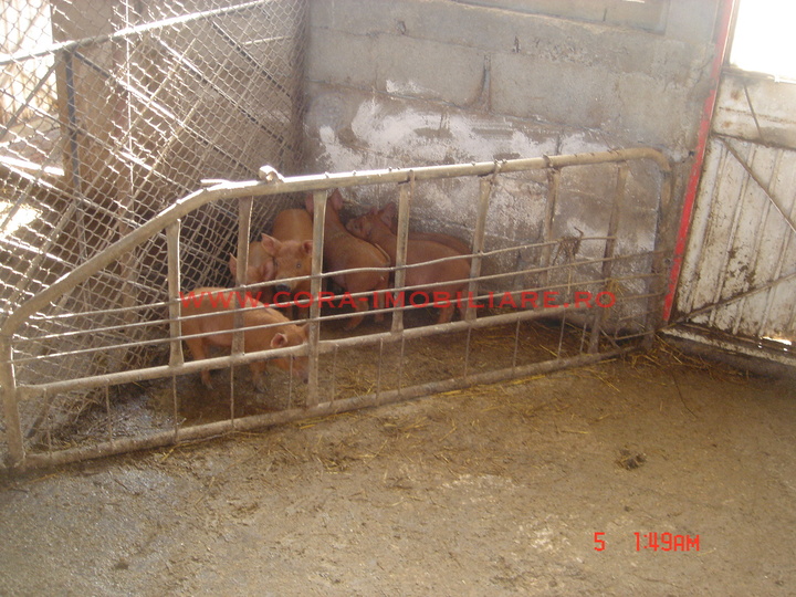 Dsc03204